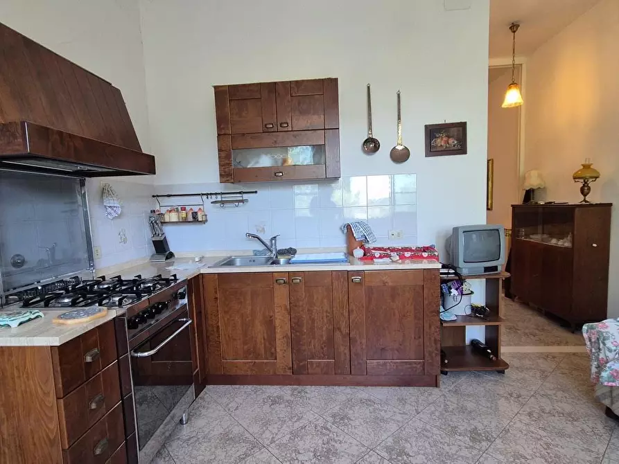 Immagine 4 di Appartamento in vendita  a Asciano