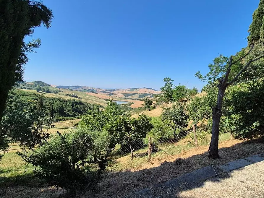 Immagine 11 di Appartamento in vendita  a Asciano