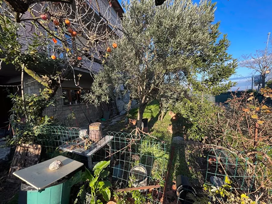 Immagine 101 di Appartamento in vendita  a Siena
