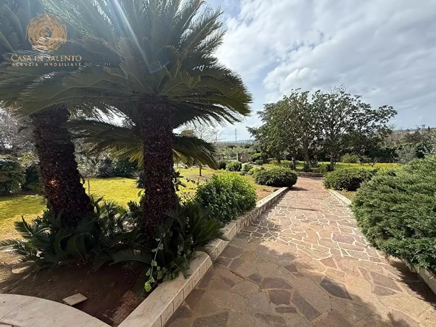 Immagine 4 di Villa in vendita  a Tricase