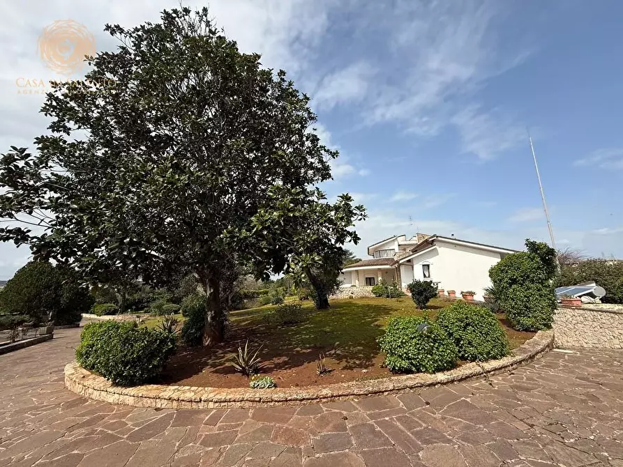 Immagine 2 di Villa in vendita  a Tricase