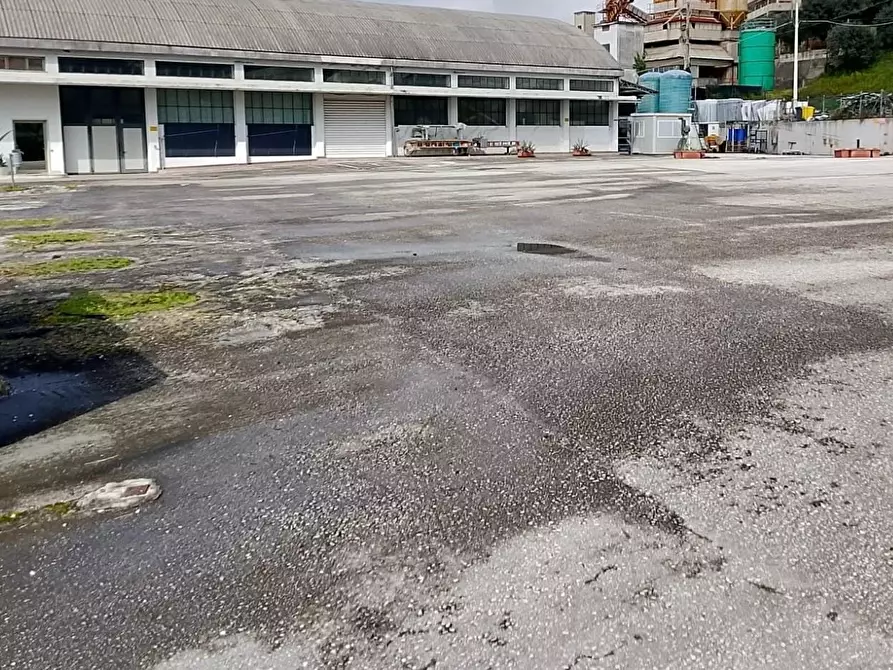Immagine 7 di Capannone industriale in vendita  a Montignoso