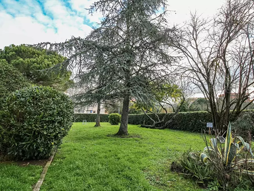 Immagine 18 di Appartamento in vendita  a Pisa