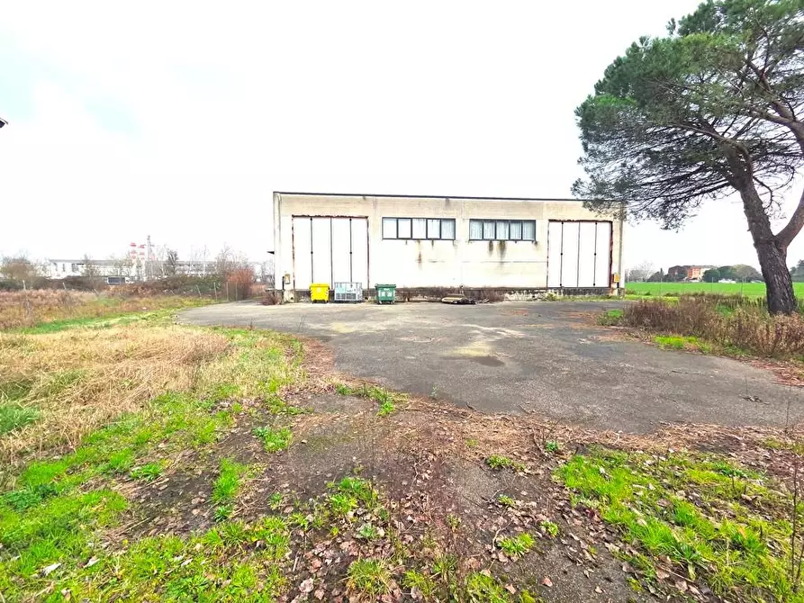 Immagine 5 di Attività artigianale in affitto  a Porcari