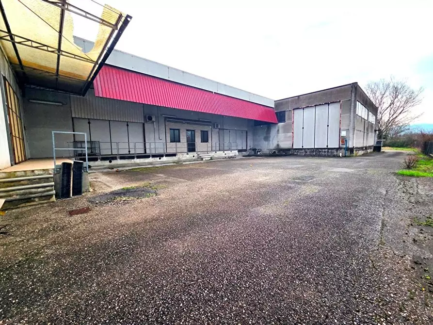 Immagine 4 di Attività artigianale in affitto  a Porcari