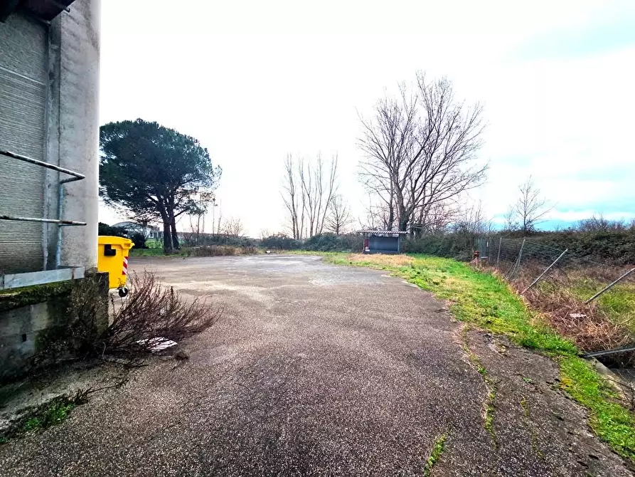 Immagine 6 di Attività artigianale in affitto  a Porcari