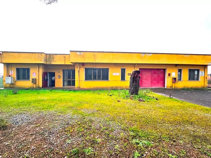 Immagine 1 di Attività artigianale in affitto  a Porcari