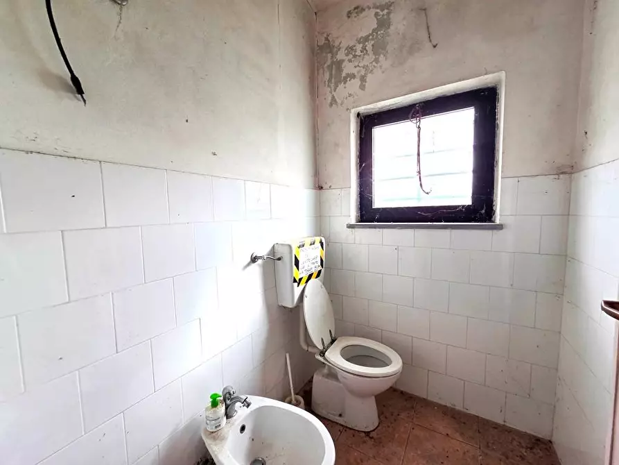 Immagine 10 di Attività artigianale in affitto  a Porcari