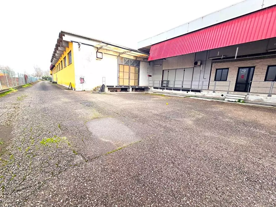 Immagine 3 di Attività artigianale in affitto  a Porcari