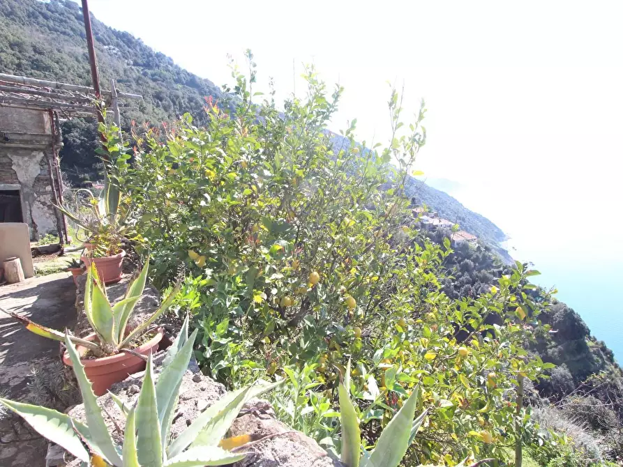 Immagine 19 di Appartamento in vendita  a La Spezia