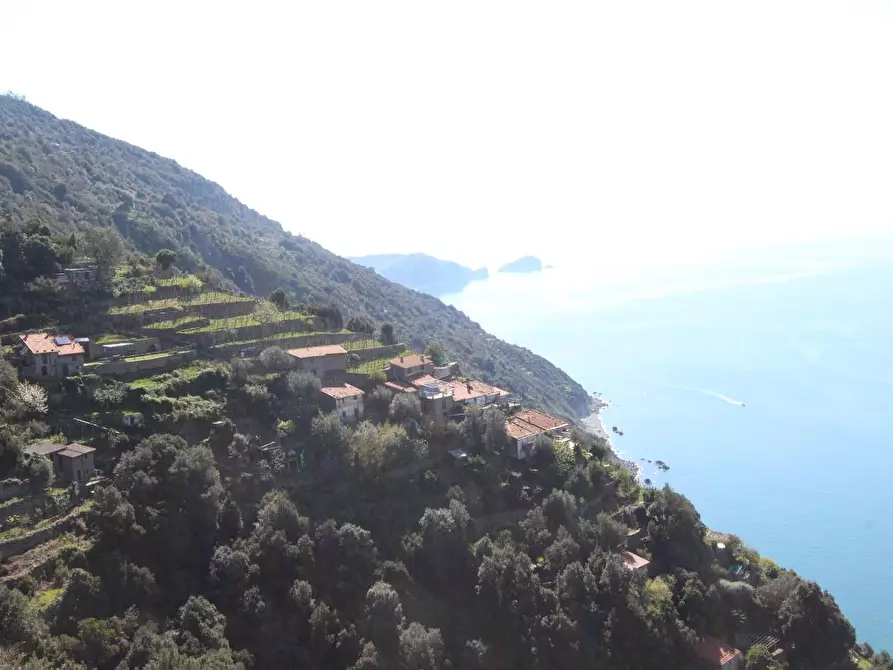 Immagine 1 di Appartamento in vendita  a La Spezia