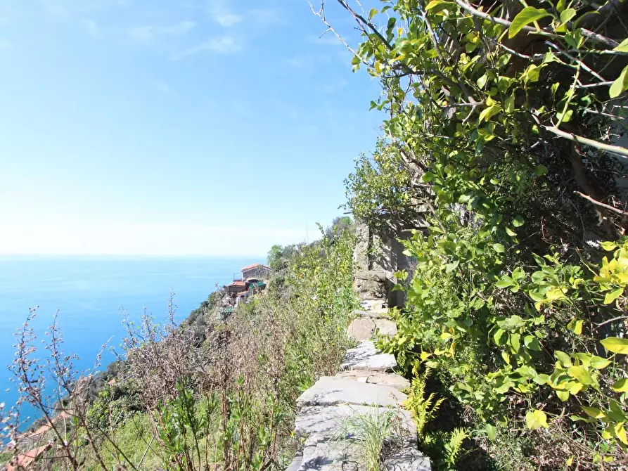 Immagine 20 di Appartamento in vendita  a La Spezia