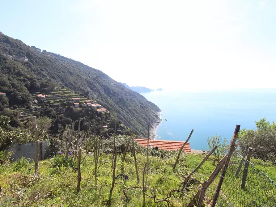 Immagine 5 di Appartamento in vendita  a La Spezia