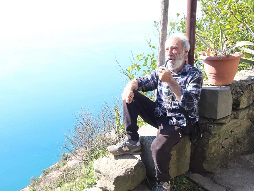 Immagine 4 di Appartamento in vendita  a La Spezia