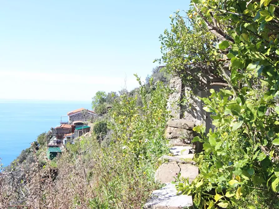 Immagine 22 di Appartamento in vendita  a La Spezia