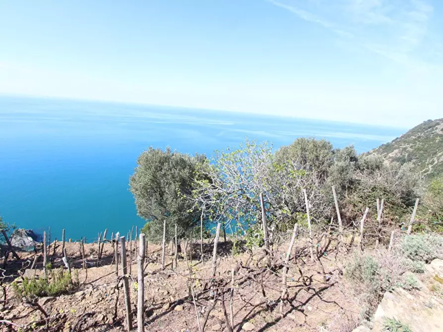 Immagine 9 di Appartamento in vendita  a La Spezia