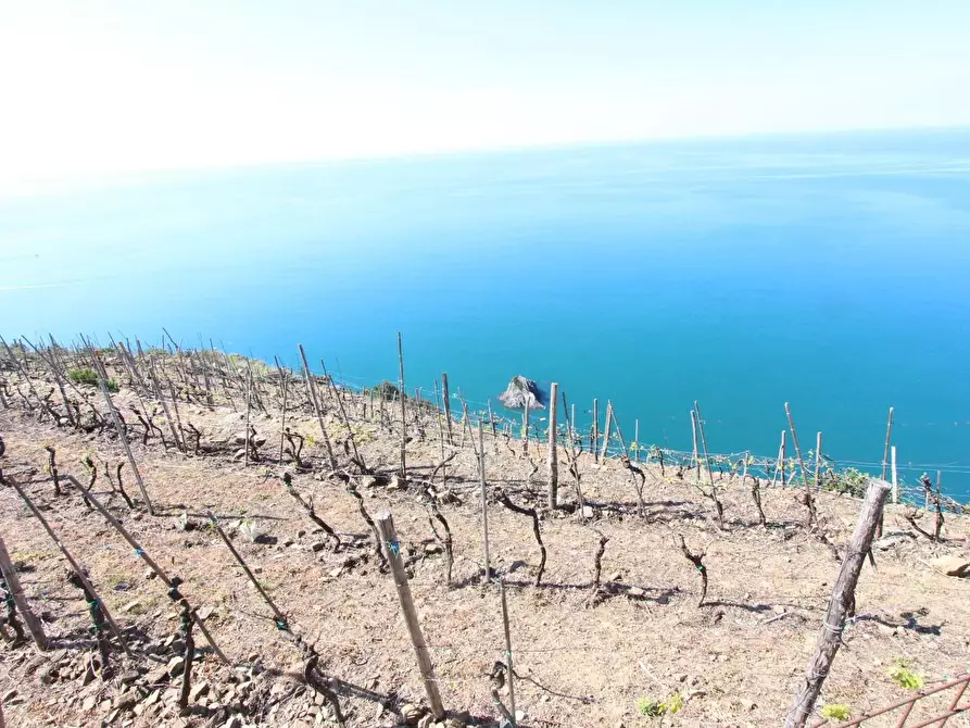 Immagine 8 di Appartamento in vendita  a La Spezia