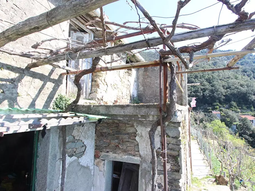 Immagine 16 di Appartamento in vendita  a La Spezia