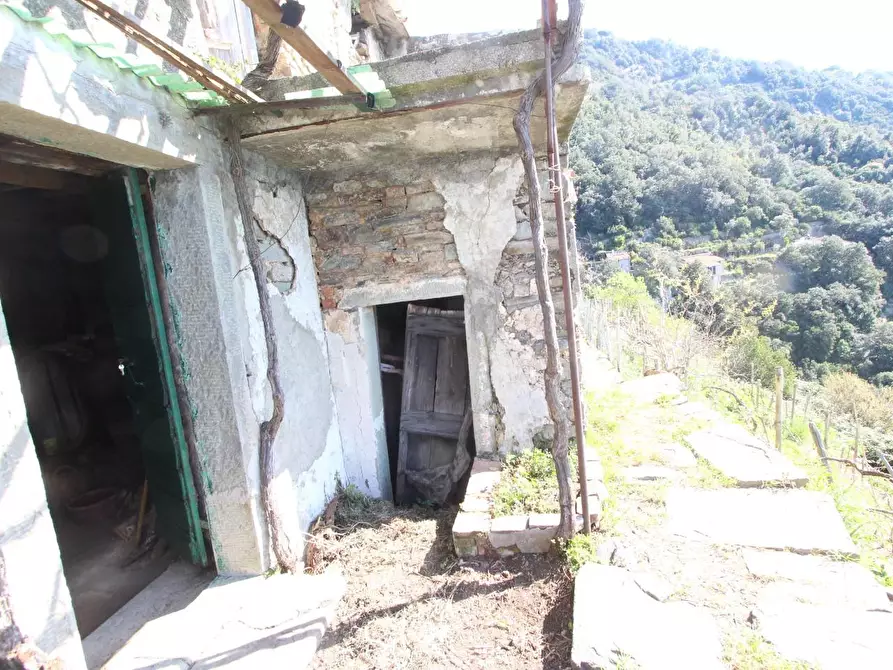 Immagine 17 di Appartamento in vendita  a La Spezia