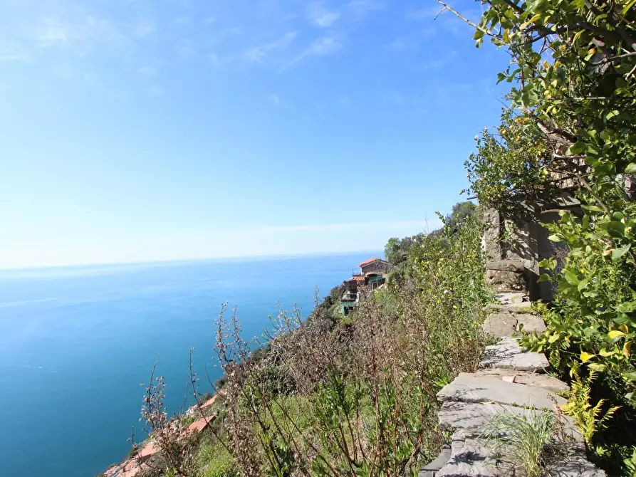 Immagine 21 di Appartamento in vendita  a La Spezia