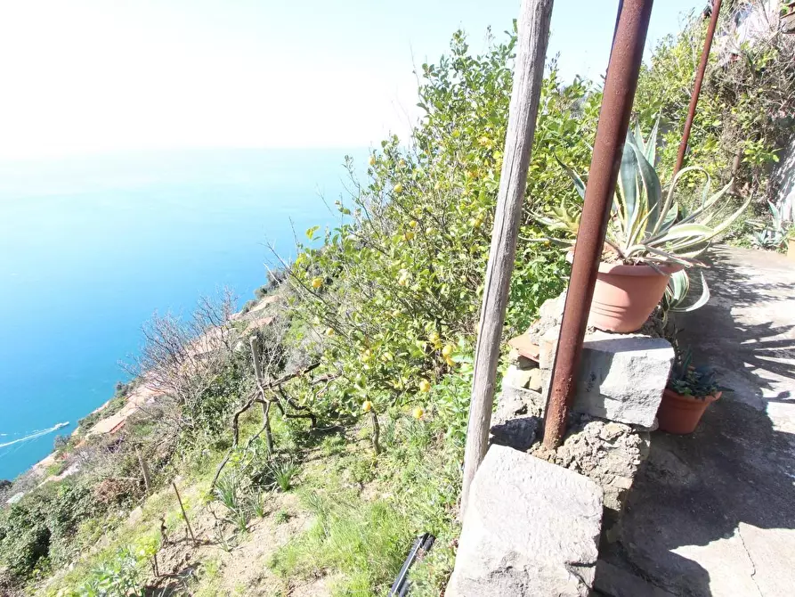 Immagine 2 di Appartamento in vendita  a La Spezia