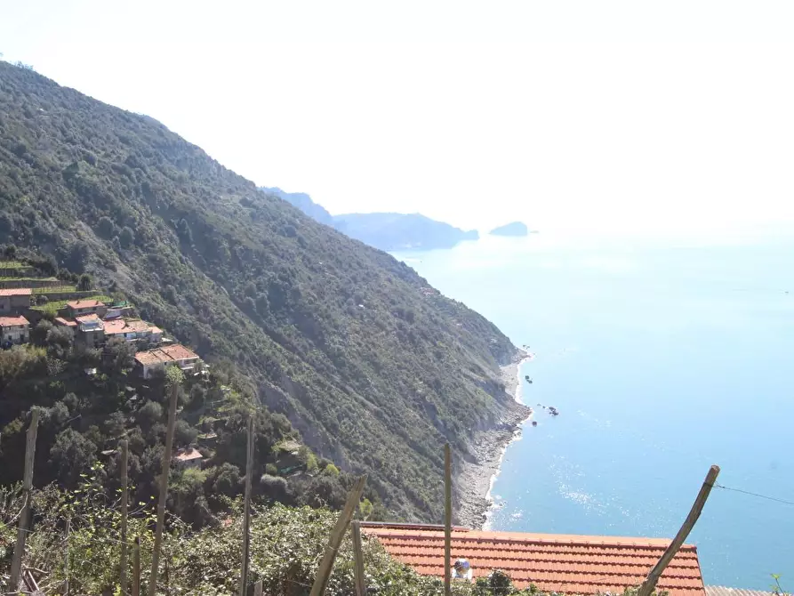 Immagine 6 di Appartamento in vendita  a La Spezia