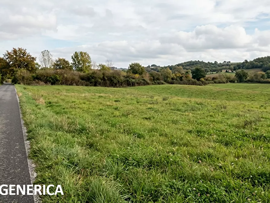 Immagine 1 di Terreno agricolo in vendita  a Cerreto Guidi