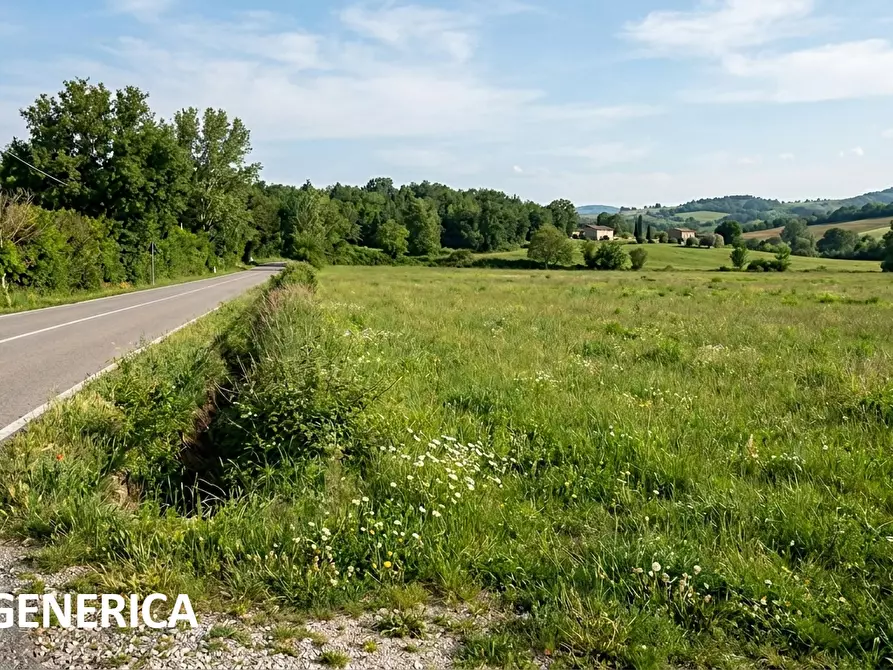 Immagine 1 di Terreno agricolo in vendita  a Fucecchio