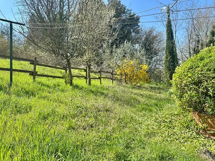 Immagine 26 di Appartamento in vendita  a Monteriggioni