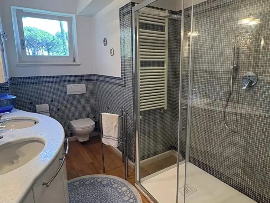 Immagine 61 di Villa in affitto  a Pietrasanta