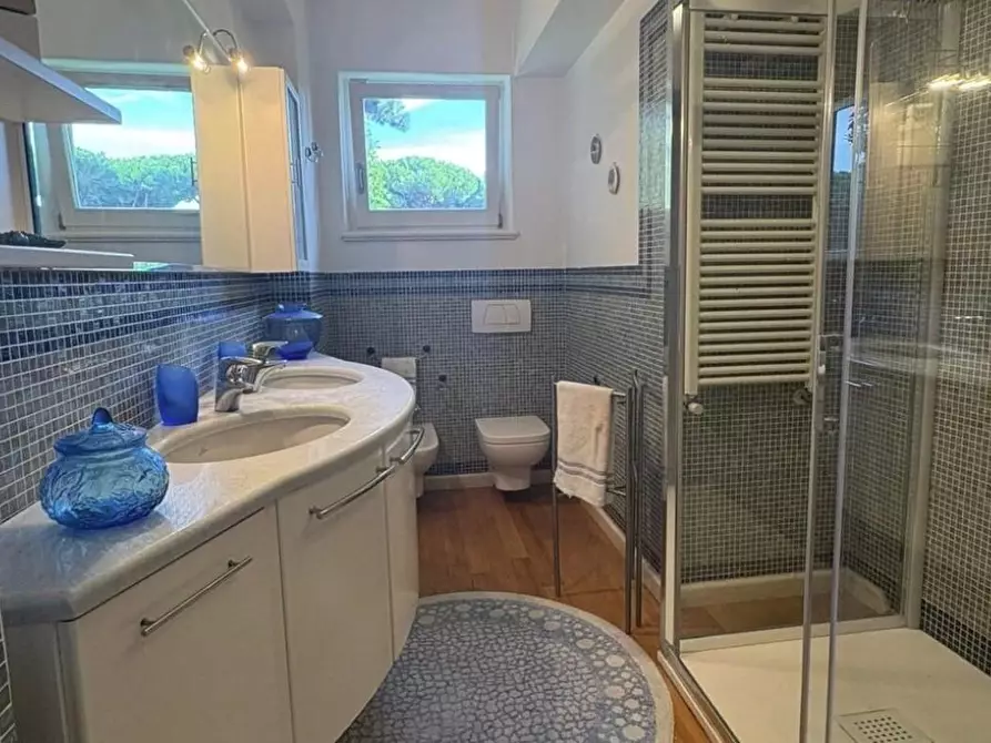 Immagine 58 di Villa in affitto  a Pietrasanta