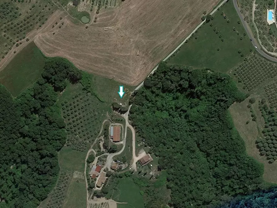 Immagine 1 di Terreno agricolo in vendita  a Volterra