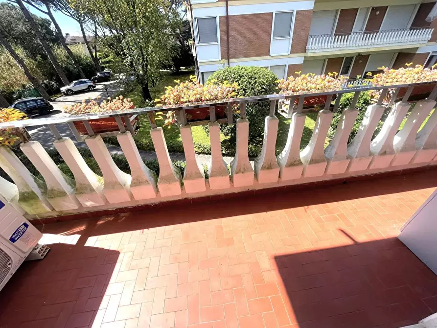 Immagine 7 di Appartamento in vendita  a Massa