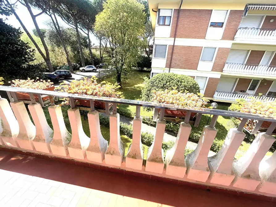 Immagine 5 di Appartamento in vendita  a Massa