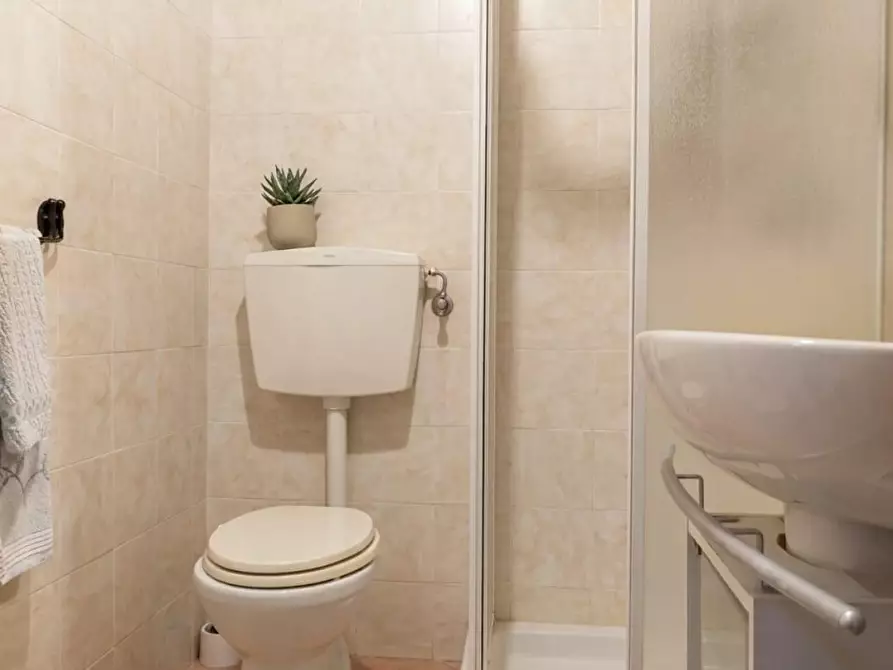 Immagine 17 di Terratetto in vendita  a Arcola