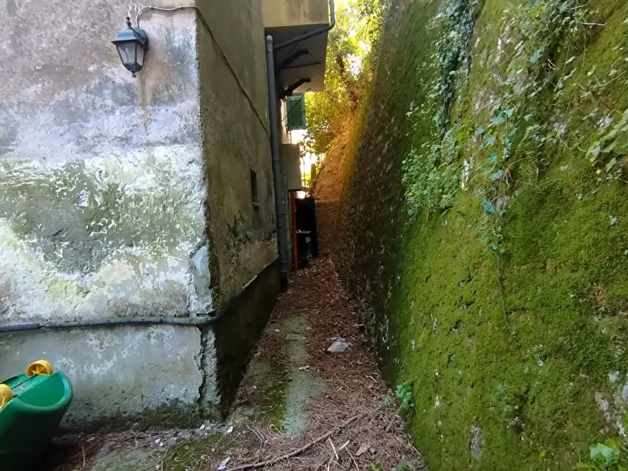 Immagine 28 di Terratetto in vendita  a Arcola