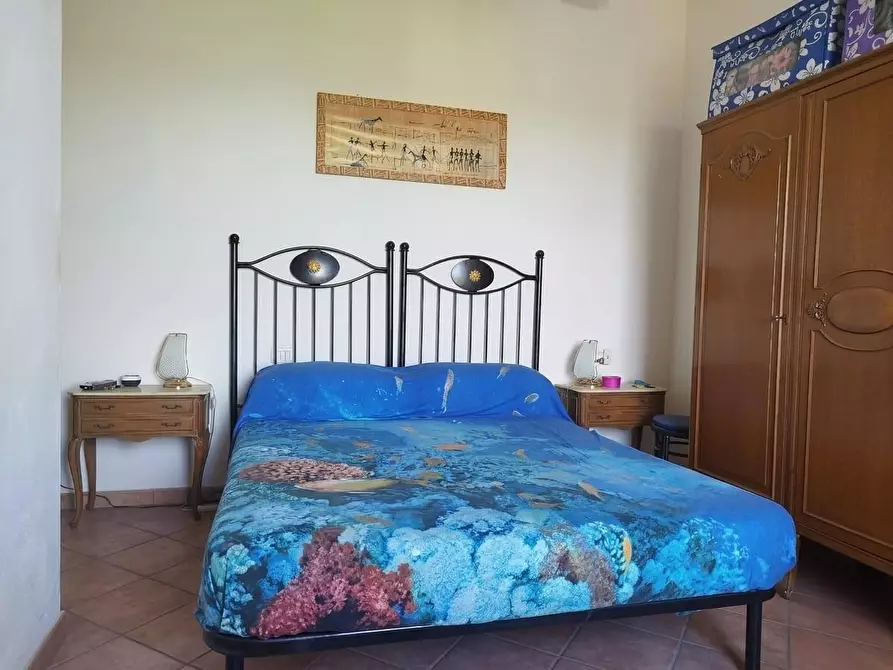 Immagine 23 di Terratetto in vendita  a Arcola