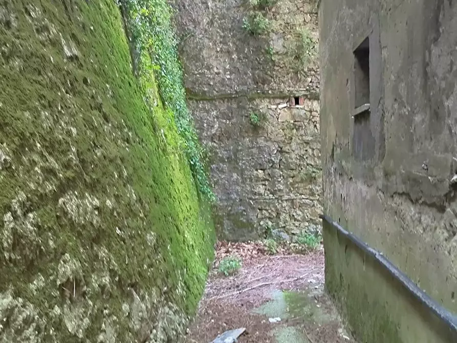 Immagine 25 di Terratetto in vendita  a Arcola