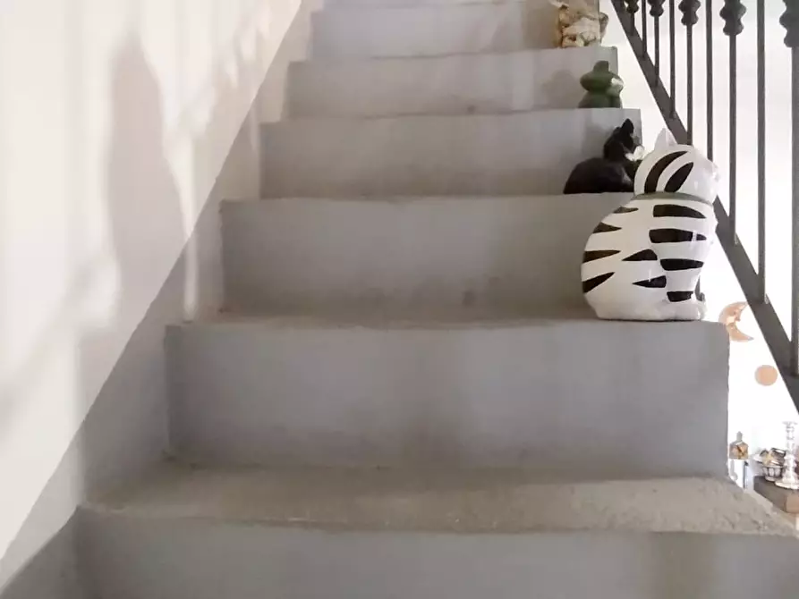 Immagine 8 di Terratetto in vendita  a Arcola