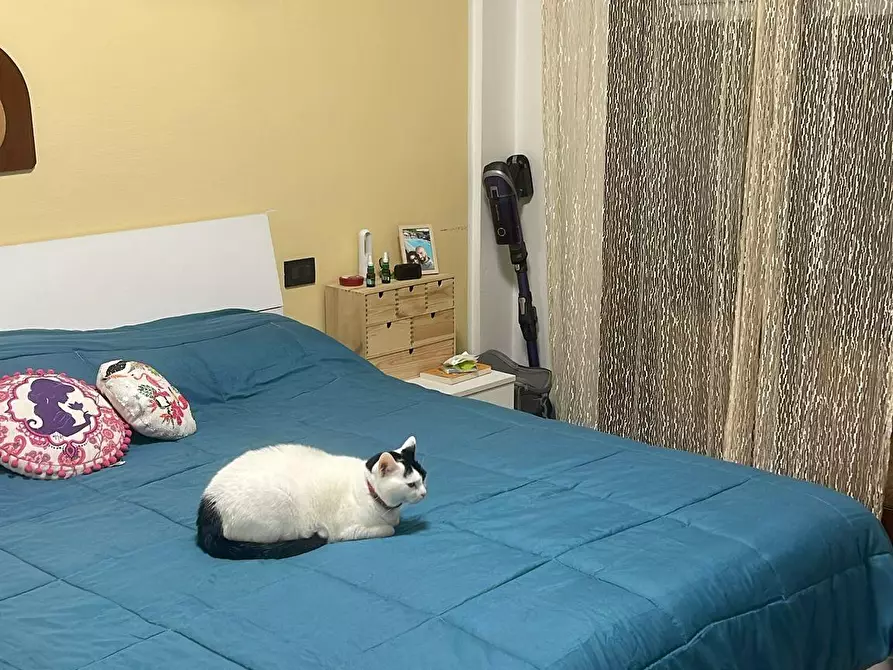 Immagine 5 di Appartamento in vendita  a Cascina