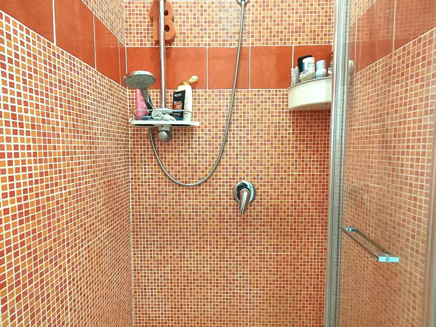 Immagine 21 di Appartamento in vendita  a Lucca