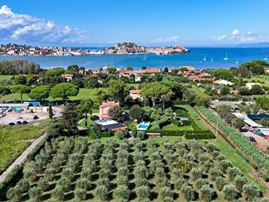 Immagine 35 di Villa in vendita  a Portoferraio