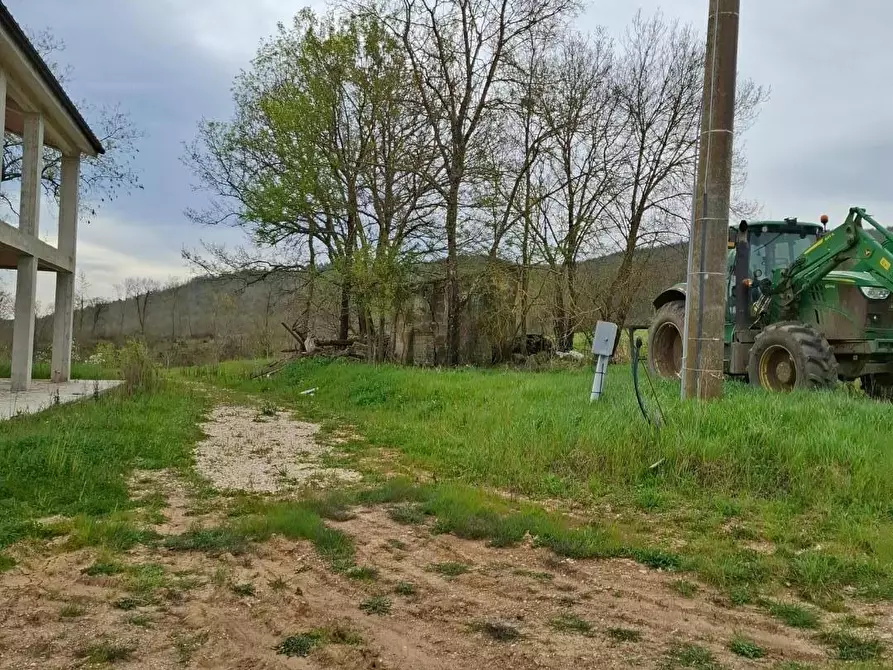 Immagine 8 di Azienda agricola in vendita  a Manciano