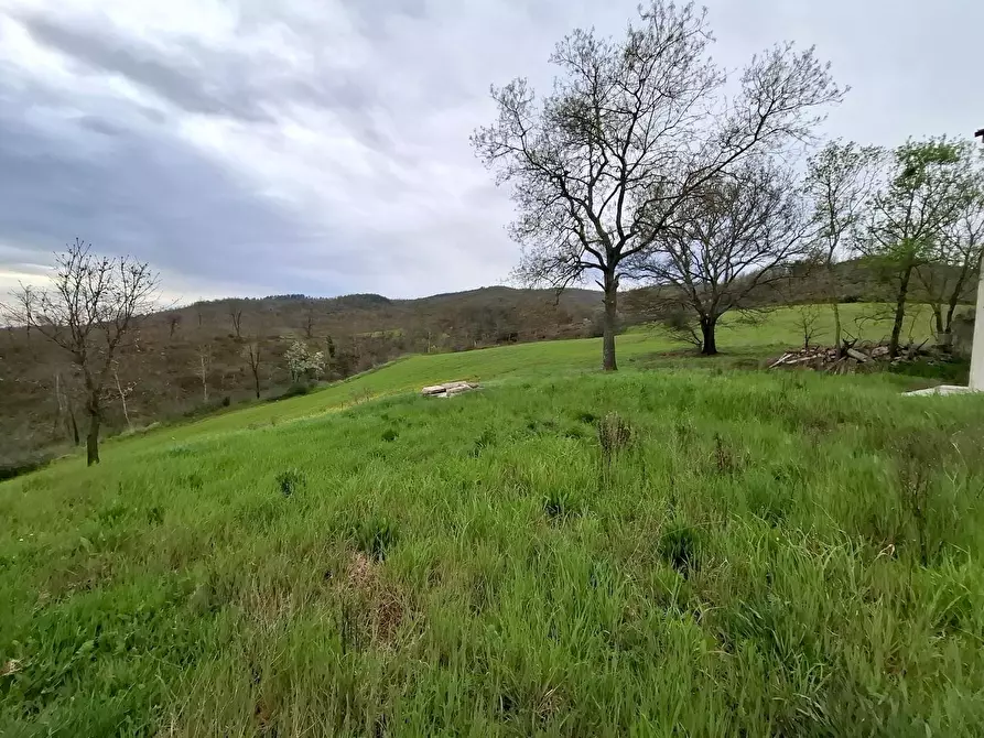 Immagine 7 di Azienda agricola in vendita  a Manciano