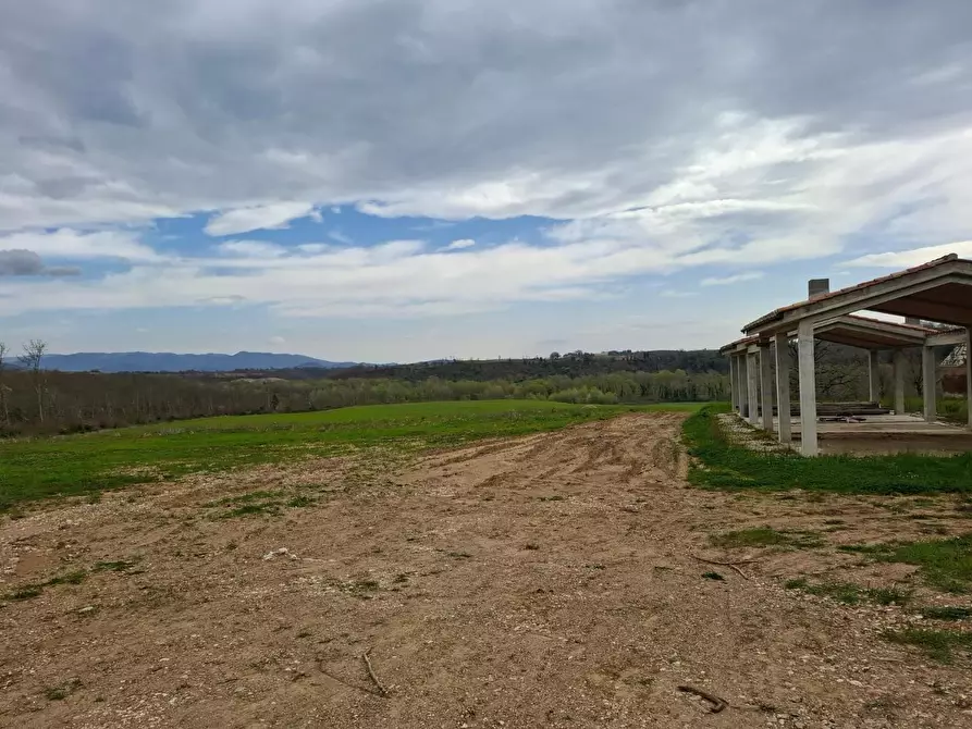 Immagine 4 di Azienda agricola in vendita  a Manciano