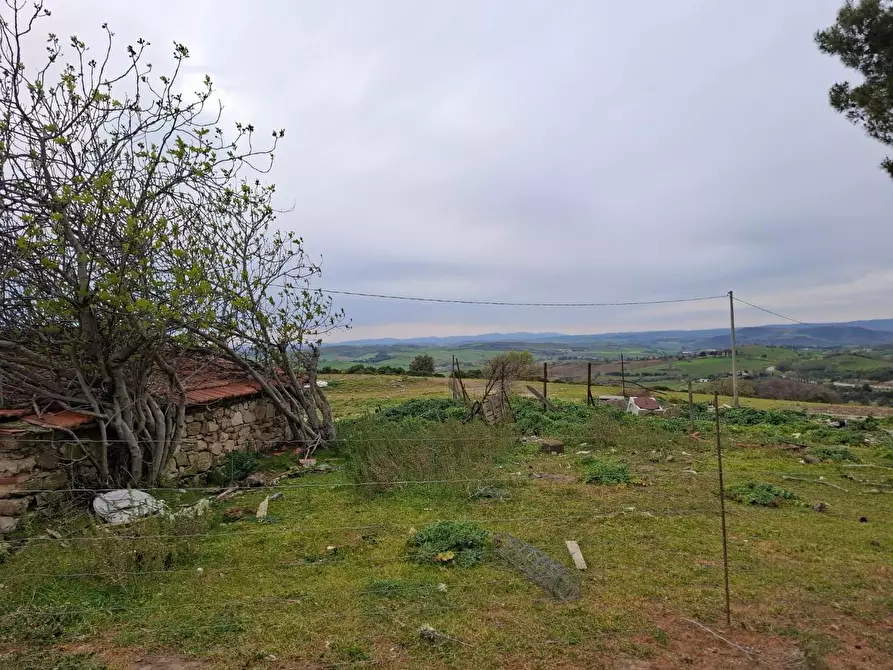Immagine 2 di Azienda agricola in vendita  a Manciano