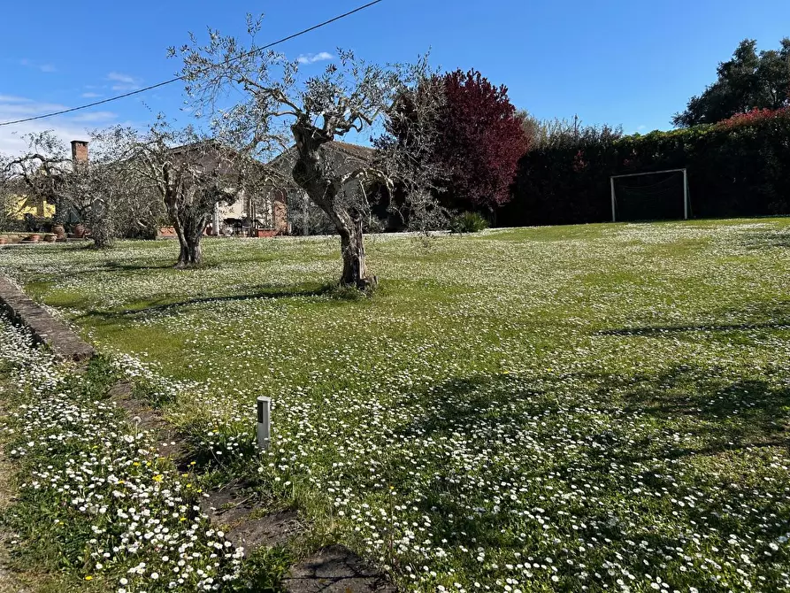 Immagine 2 di Terratetto in vendita  a San Miniato