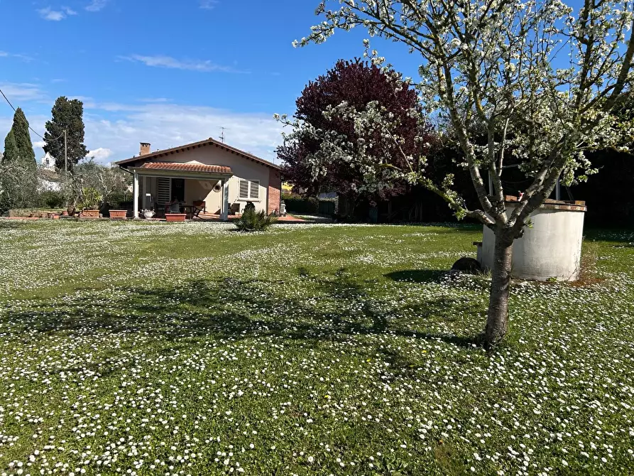 Immagine 5 di Terratetto in vendita  a San Miniato