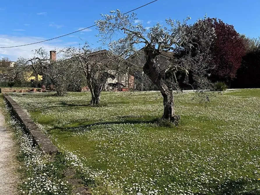 Immagine 4 di Terratetto in vendita  a San Miniato
