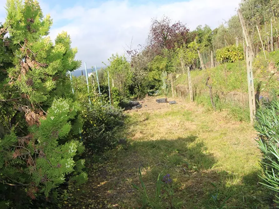 Immagine 18 di Casa semindipendente in vendita  a La Spezia